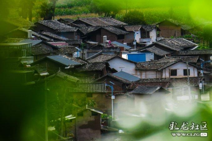 雷竞技比分
